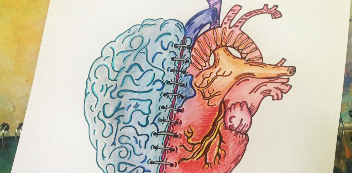 patient illustration of a brain and a heart